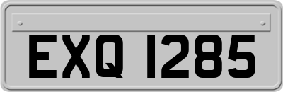 EXQ1285