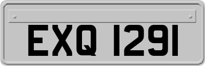EXQ1291