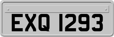 EXQ1293