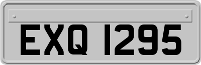 EXQ1295
