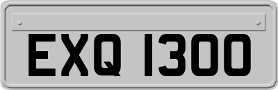 EXQ1300