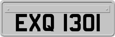 EXQ1301