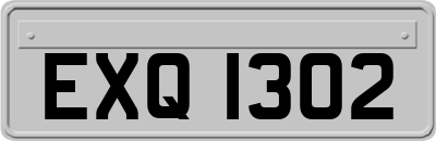 EXQ1302