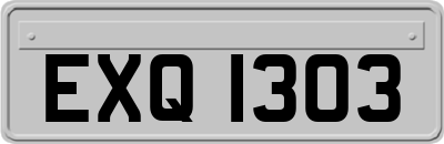 EXQ1303