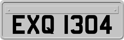 EXQ1304