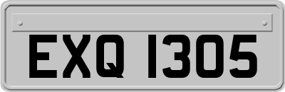 EXQ1305