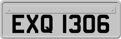 EXQ1306
