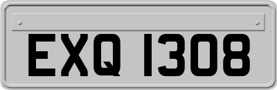 EXQ1308