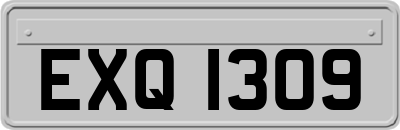 EXQ1309