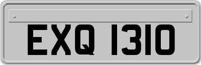EXQ1310