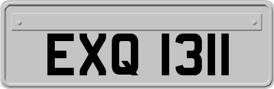 EXQ1311