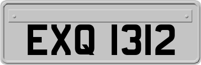EXQ1312