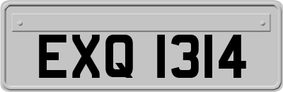EXQ1314