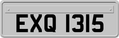 EXQ1315