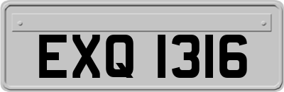 EXQ1316