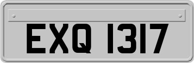 EXQ1317