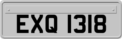 EXQ1318