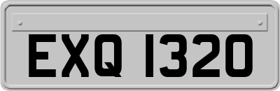 EXQ1320