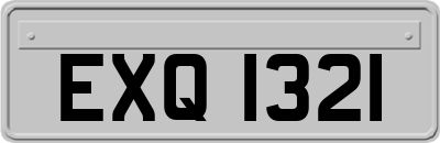 EXQ1321
