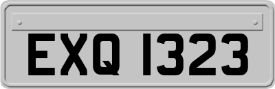 EXQ1323