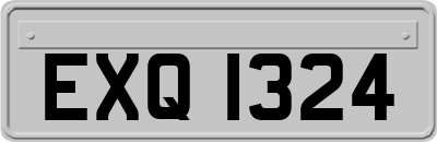 EXQ1324