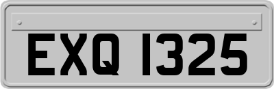 EXQ1325