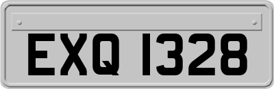 EXQ1328