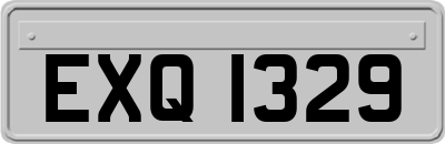 EXQ1329