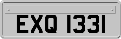 EXQ1331