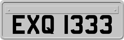 EXQ1333
