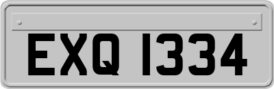 EXQ1334