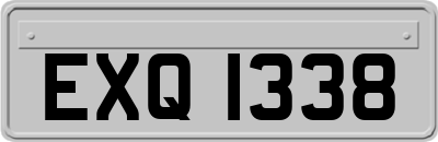 EXQ1338