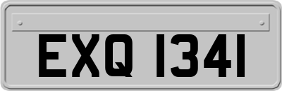 EXQ1341