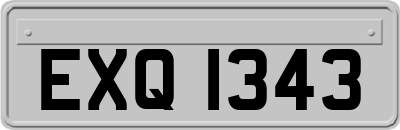 EXQ1343