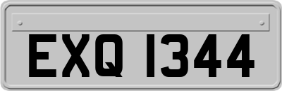 EXQ1344
