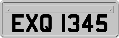 EXQ1345