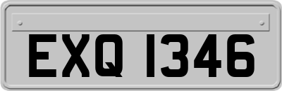 EXQ1346