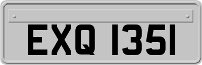 EXQ1351