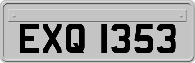 EXQ1353