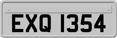 EXQ1354