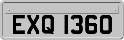 EXQ1360