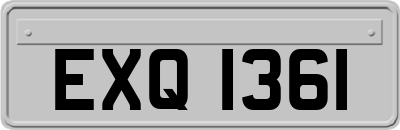 EXQ1361