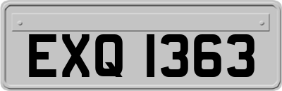 EXQ1363