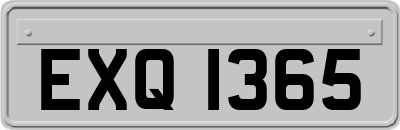 EXQ1365