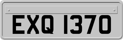 EXQ1370