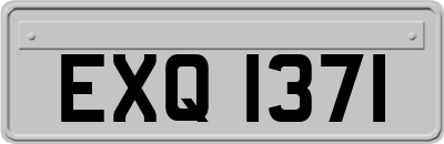 EXQ1371