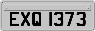 EXQ1373