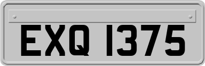 EXQ1375