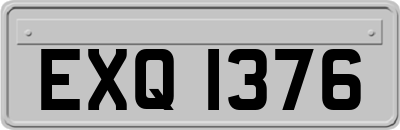 EXQ1376