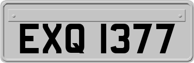 EXQ1377